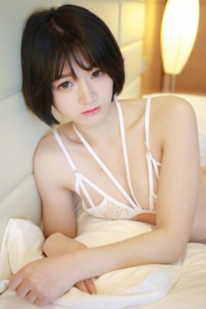影帝的公主电视剧免费观看_中英字幕1080